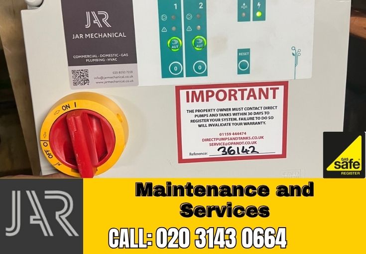 Domestic Maintenance and Services Catford